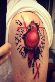 男生手臂上彩绘渐变简单线条英文字母和鸟纹身图片