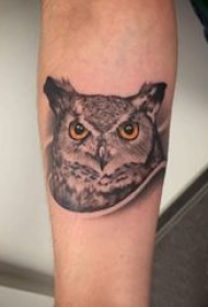 纹身猫头鹰 女生手臂上黑色的猫头鹰纹身图片