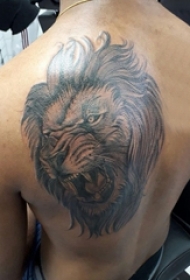 肩膀简约纹身 男生后肩上黑色的狮子纹身图片