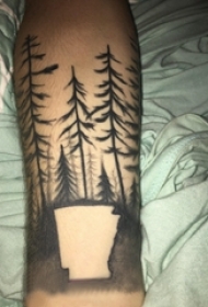 树纹身 男生手臂上黑灰纹身树纹身图片