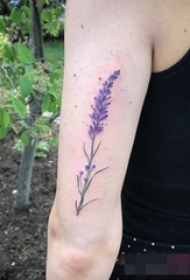 手臂上彩绘技巧小清新植物花朵纹身图片