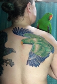 女生后背上彩绘渐变简单线条小动物鹦鹉纹身图片