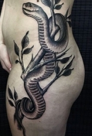 女生侧腰上黑灰素描点刺技巧恐怖蛇纹身图片