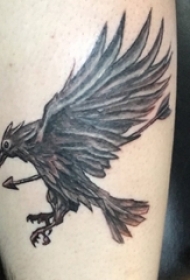 男生小腿上黑色点刺抽象线条箭和动物老鹰纹身图片