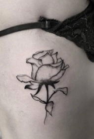 女生侧腰上黑色线条素描点刺技巧唯美玫瑰纹身图片