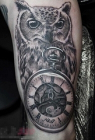 男生手臂上黑灰素描点刺技巧创意动物猫头鹰和怀表纹身图片
