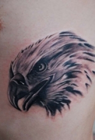 男生侧腰上黑灰素描点刺技巧霸气老鹰动物纹身图片