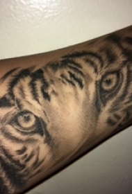 百乐动物纹身 男生手臂上黑色的老虎纹身图片