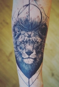 狮子头纹身图片 男生手臂上狮子头纹身图片