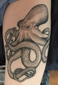 男生大腿上黑灰点刺抽象线条小动物章鱼纹身图片