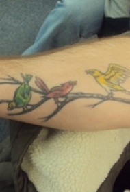男生手臂上彩绘植物树枝和小鸟纹身图片