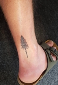 男生小腿上黑色点刺简单线条植物松树纹身图片