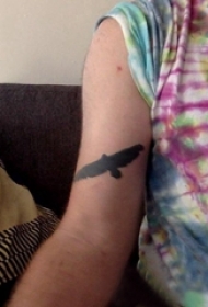百乐动物纹身 男生手臂上黑色的老鹰纹身图片