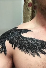 肩膀简约纹身 男生肩部黑色的乌鸦纹身图片