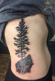 女生侧腰上黑色点刺简单线条岩石和植物大树纹身图片