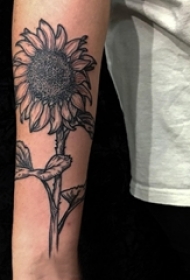 女生手臂上黑色点刺抽象线条植物向日葵纹身图片