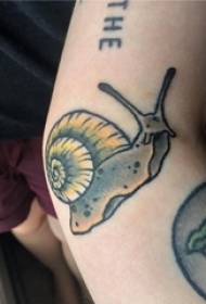 男生手臂上彩绘抽象线条小动物蜗牛纹身图片
