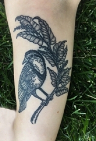 男生小腿上黑色点刺抽象线条植物和小鸟纹身图片