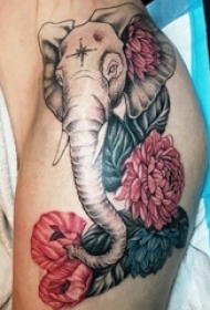 纹身大象图案 女生大腿上彩绘纹身大象图案