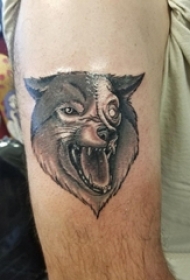 纹身狼头 男生手臂上狼头纹身图片