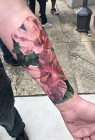 手臂纹身素材 男生手臂上彩色的芙蓉花朵纹身图片