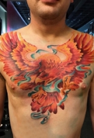 纹身火凤凰 男生胸部彩色的凤凰纹身图片