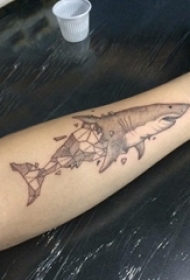 女生手臂上黑灰素描几何元素创意鲨鱼动物纹身图片