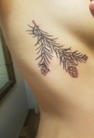 树枝纹身 女生侧肋上的树枝纹身图片