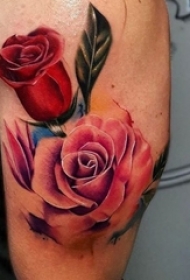 男生手臂上彩绘水彩素描唯美玫瑰纹身图片