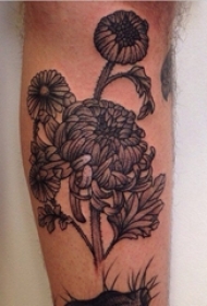 黑灰菊花纹身男生小腿上黑色的菊花纹身图片
