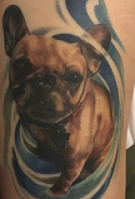 男生手臂上彩绘渐变简单抽象线条小动物狗纹身图片