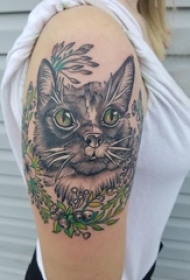 小清新猫咪纹身 女生手臂上植物和猫咪纹身图片
