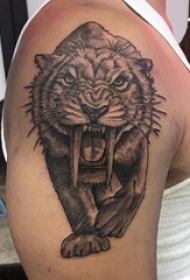 老虎图腾纹身 男生大臂上黑色的剑齿虎纹身图片