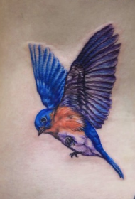 腰部彩色小鸟展翅纹身图案