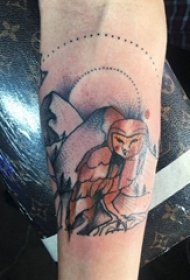 男生手臂上彩绘水彩素描创意文艺猫头鹰纹身图片