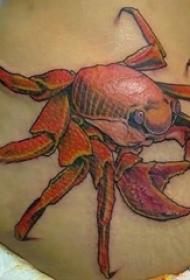 女生背部彩绘水彩素描创意3d螃蟹纹身图片