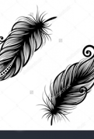 黑色的孔雀羽毛纹身简单线条图片纹身手稿素材