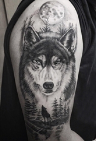 男生大臂上黑色点刺月亮和小动物狼纹身图片