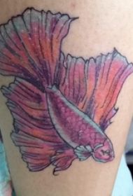 女生小腿上彩绘渐变简单抽象线条小动物鱼纹身图片