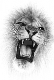 狮子头纹身手稿 黑灰纹身狮子头纹身手稿