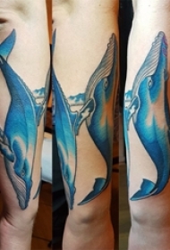 男生手臂上彩绘渐变简单线条小动物鲸鱼纹身图片