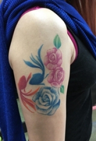 女生手臂上彩绘渐变简单线条植物花朵和金鱼纹身图片
