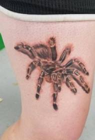 女生大腿上彩绘3d写实小动物蜘蛛纹身图片