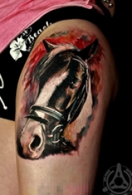 多款创意个性的设计感十足的动物马纹身图案