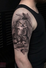 男生手臂上黑灰素描创意霸气猫头鹰纹身图片