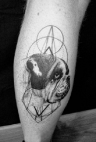 小狗纹身 男生小腿上小狗纹身图片