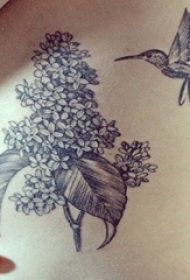 女生腰侧黑灰色简约线条花朵与蜂鸟纹身图片