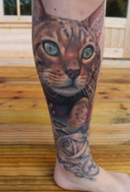 男生小腿上彩绘渐变3d写实性小动物猫咪纹身图片