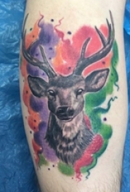 鹿头纹身男生手臂上鹿头纹身图片