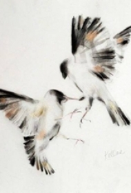 彩绘点刺技巧水墨小动物小鸟纹身手稿